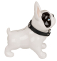 Preview: Spardose Bulldogge mit Lederhalsband aus Keramik-Bulli mit Halsband