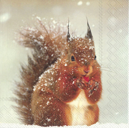 Qualitäts Servietten Eichhörnchen im Schnee  - Winter Squirrel Lunch Servietten