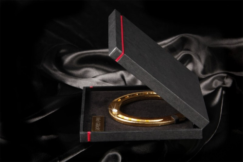 Preview: Das wertvolle Glückshufeisen Vergoldet in edler Geschenkbox