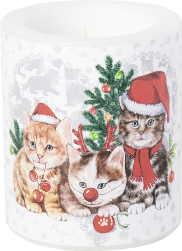Windlicht CAT - MAS Kerze XL mit Katzenmotiv weihnachtlich