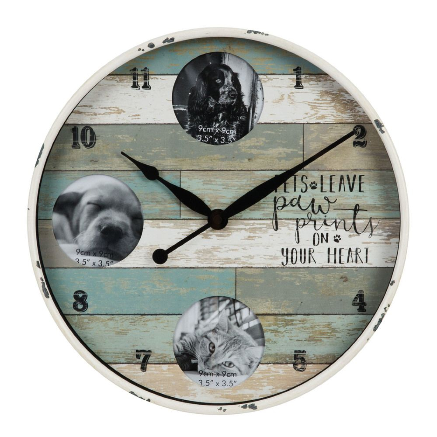 Die geniale Wanduhr Pets Pictures - Fotouhr für Tierfreunde
